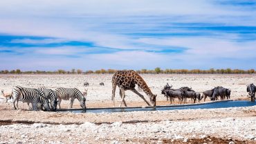 Namibia