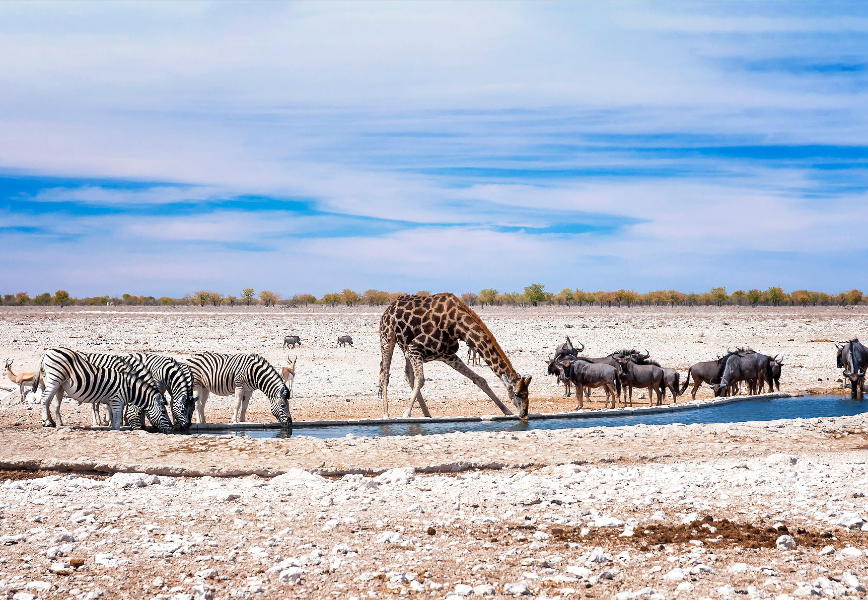 Namibia